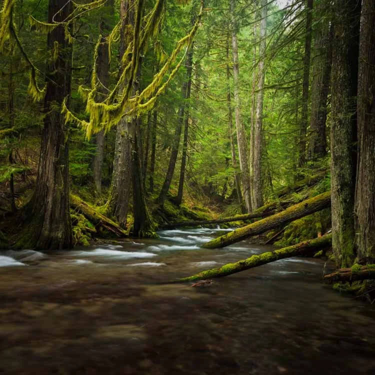 Panther Creek-1279.jpg