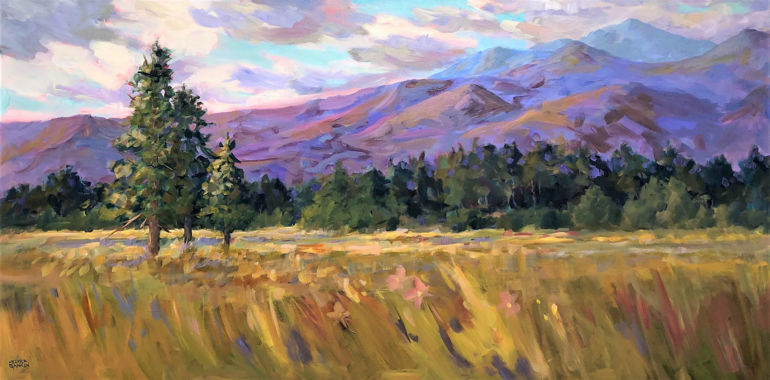 Fields and Mountains.jpg