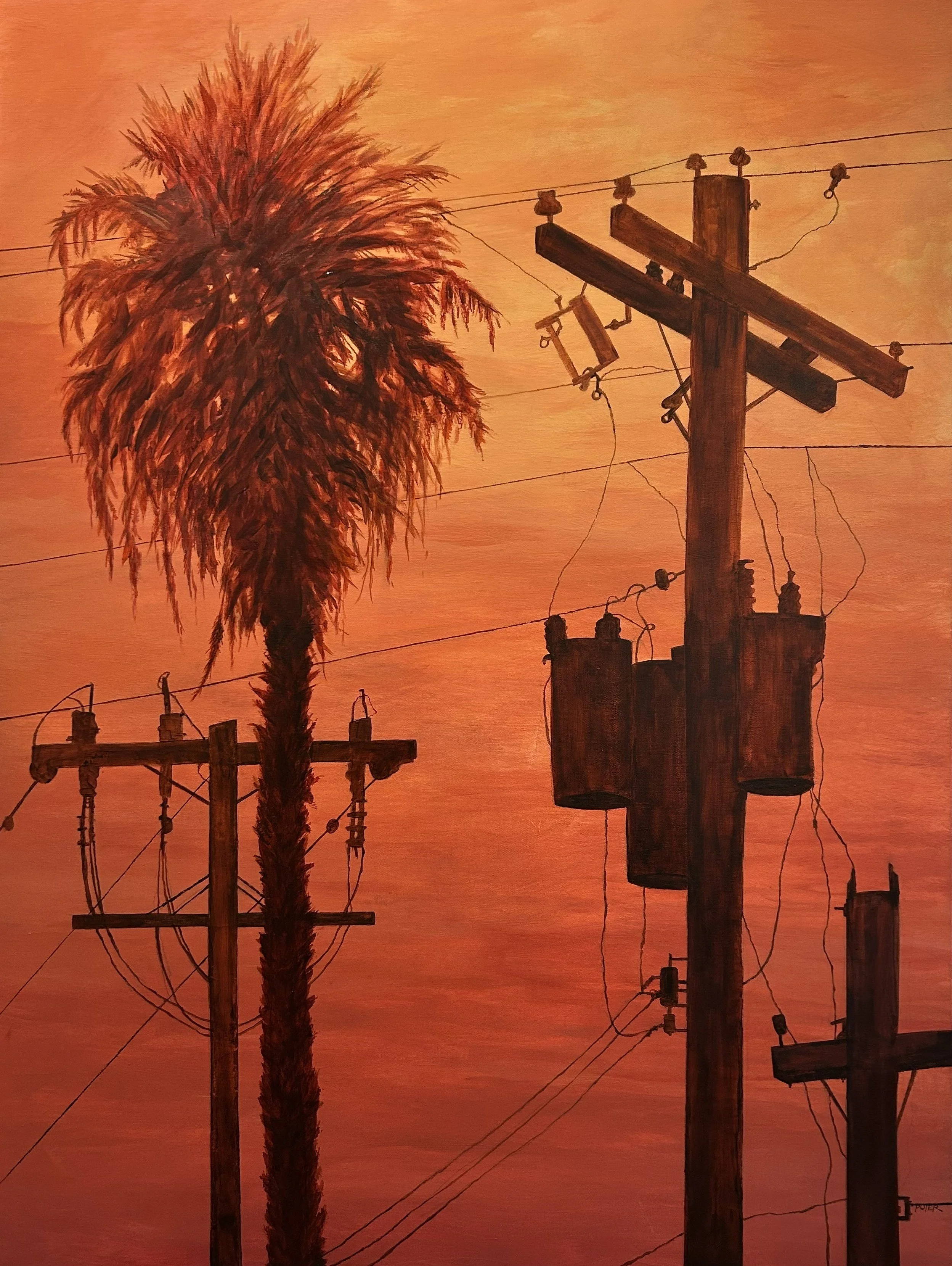 "The Sun Going Down On Paradise, Lost" $800