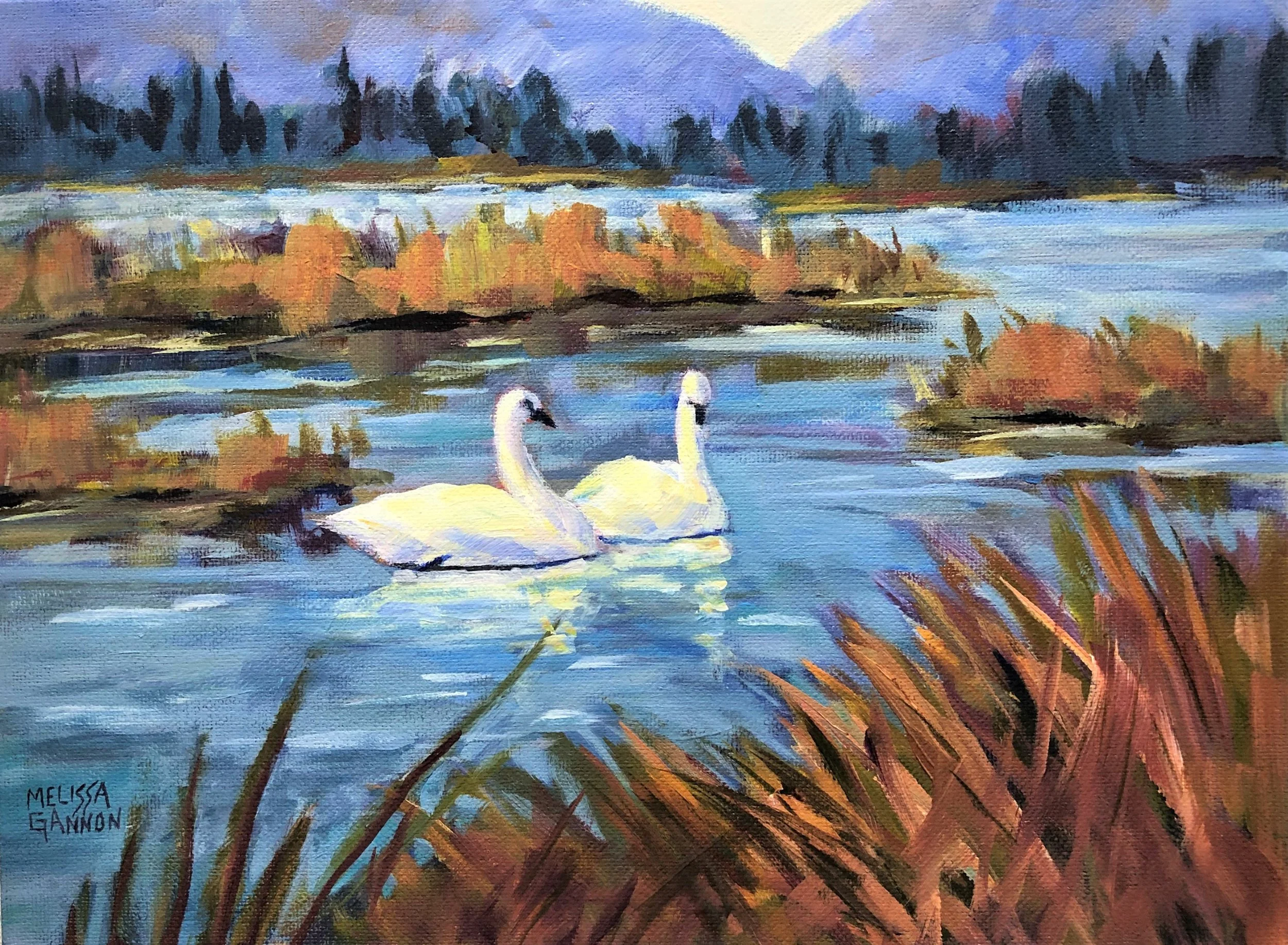 Marsh and Swans.jpg