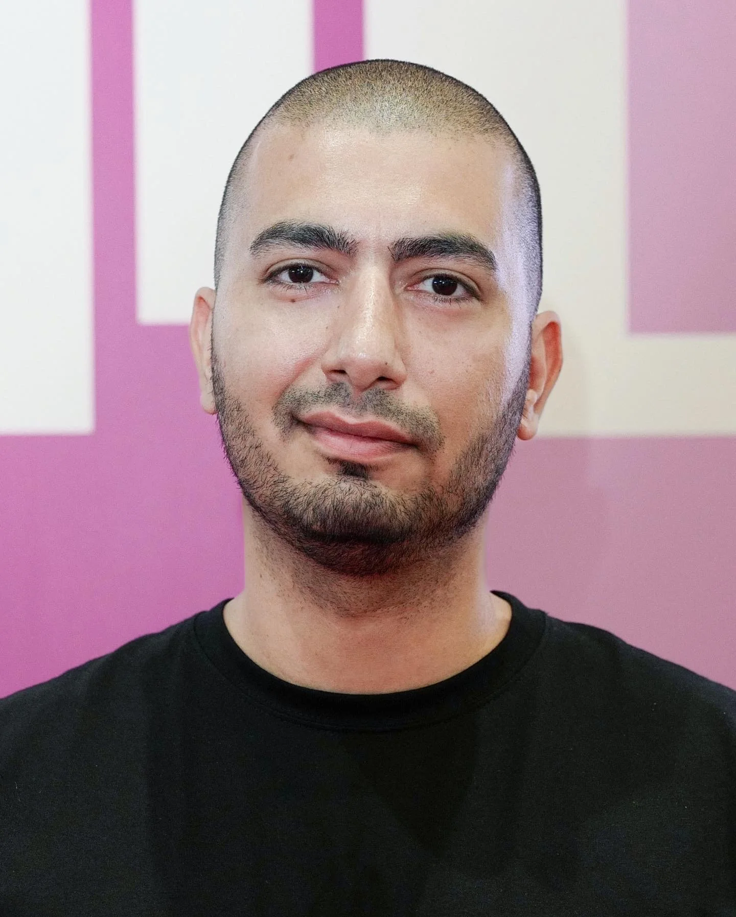 Reza F. Anissi, Denmark
