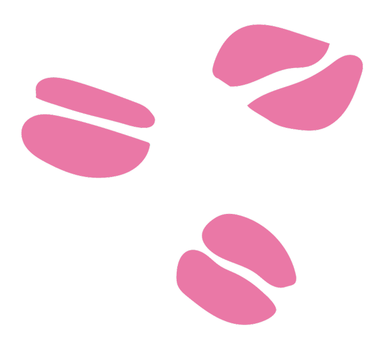 World Coffee Championships Houston World Coffee Championships world-coffee-championships-houston-world-coffee-championships