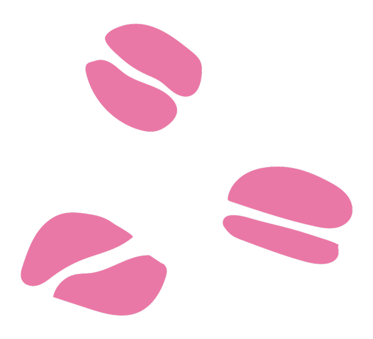 World Coffee Championships Houston World Coffee Championships world-coffee-championships-houston-world-coffee-championships