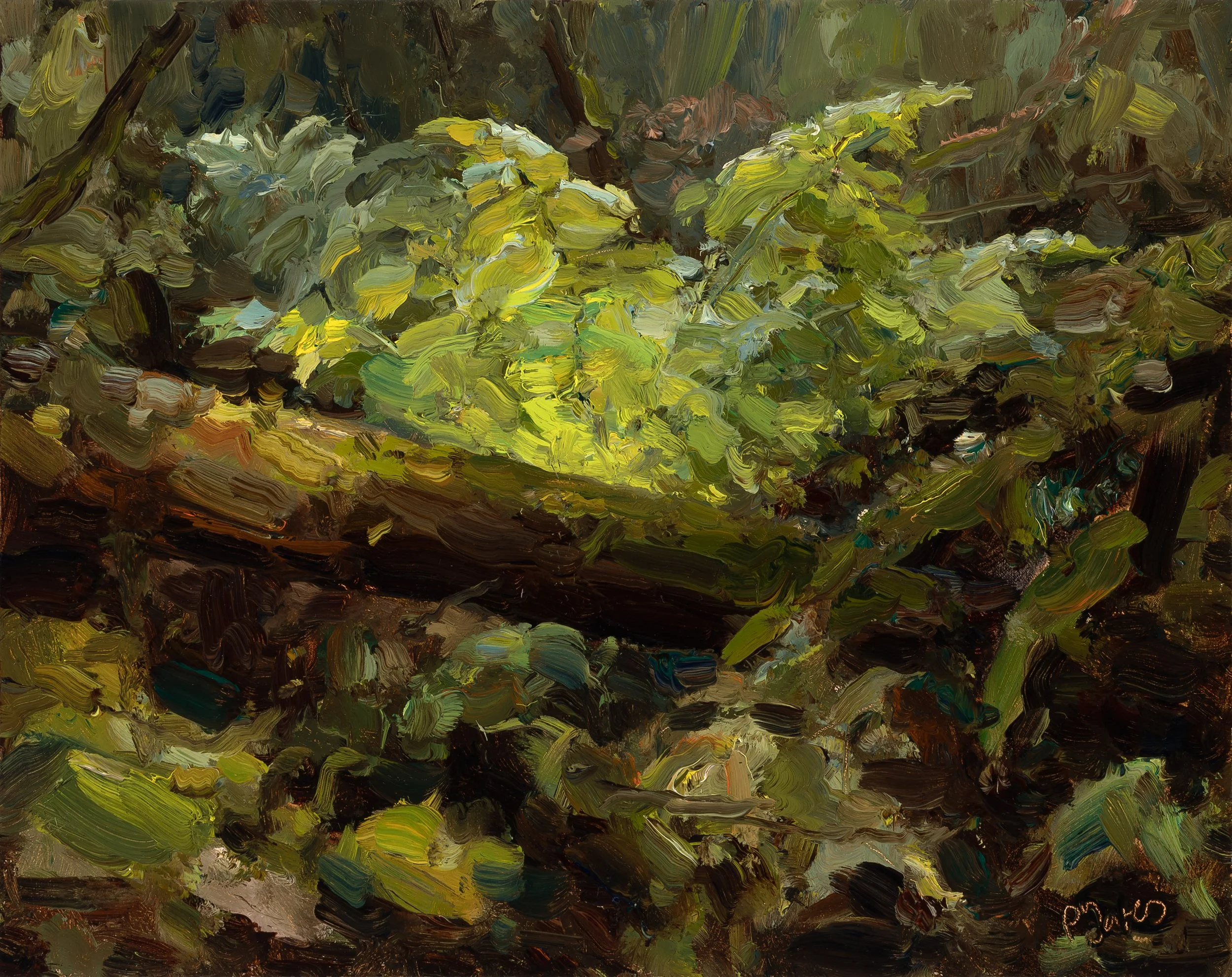 Recent work, Peter Yates (image: Julien Scheffer)