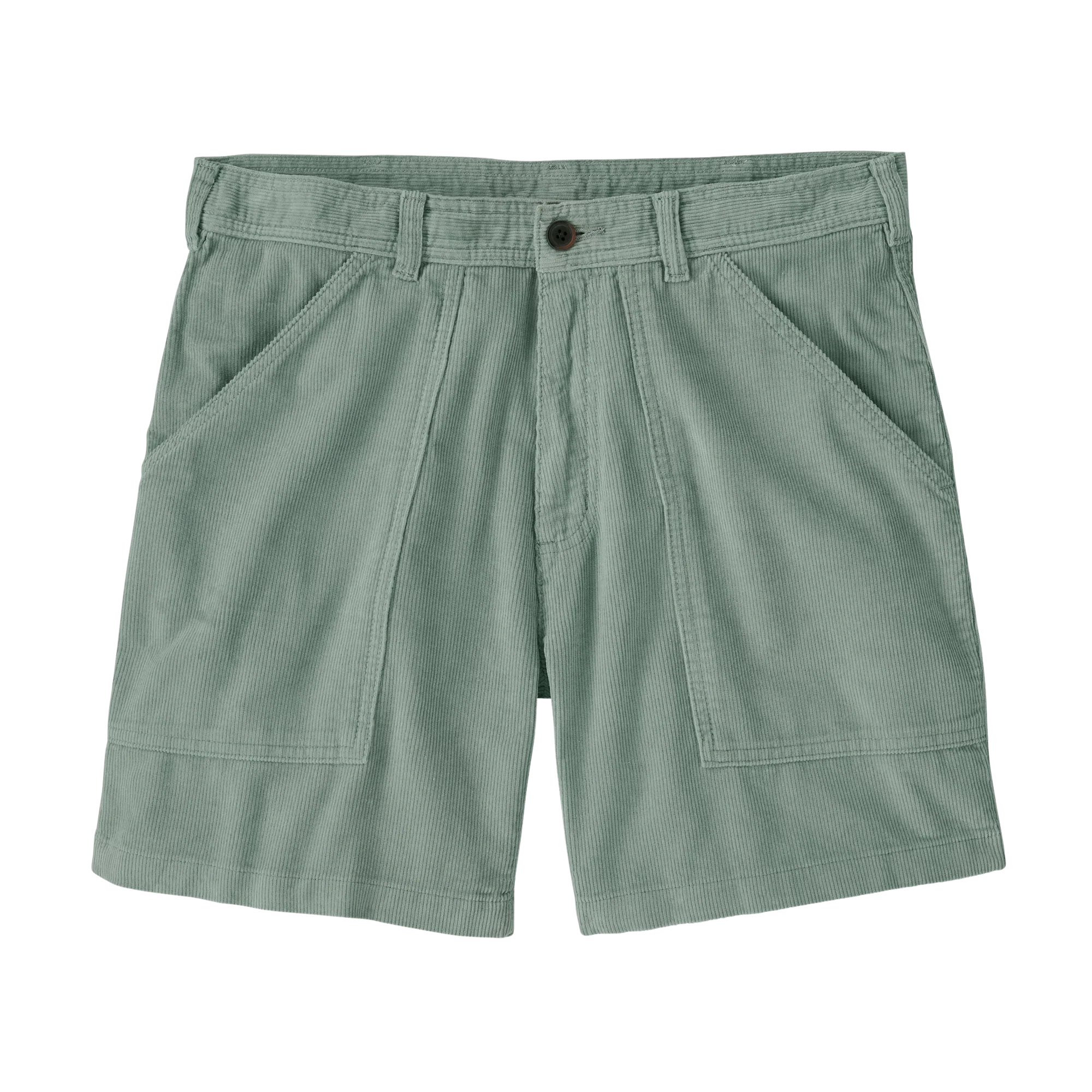 Patagonia Shorts