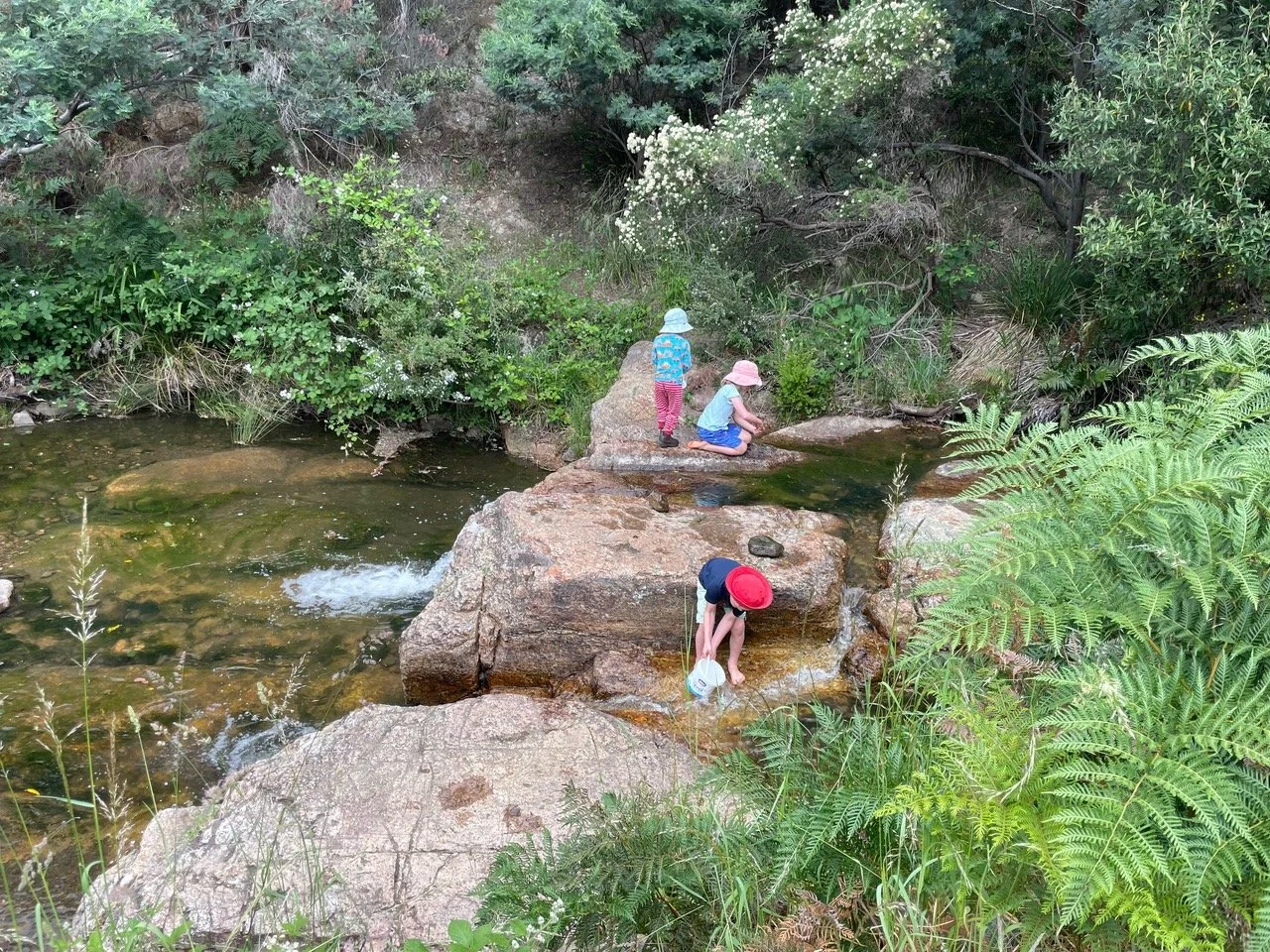 Hobart’s Best Family-Friendly Walks