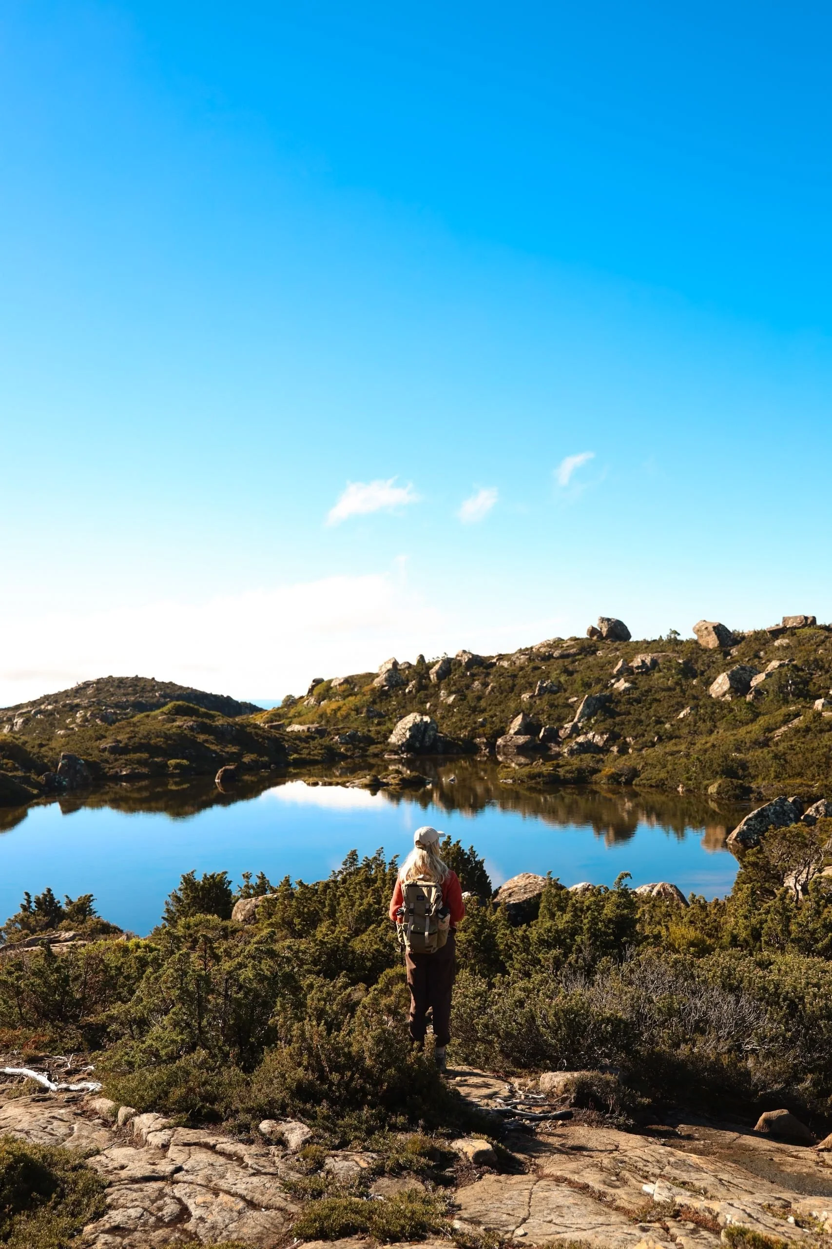 Mount Field: Southern Tasmania’s Most Enchanting National Park