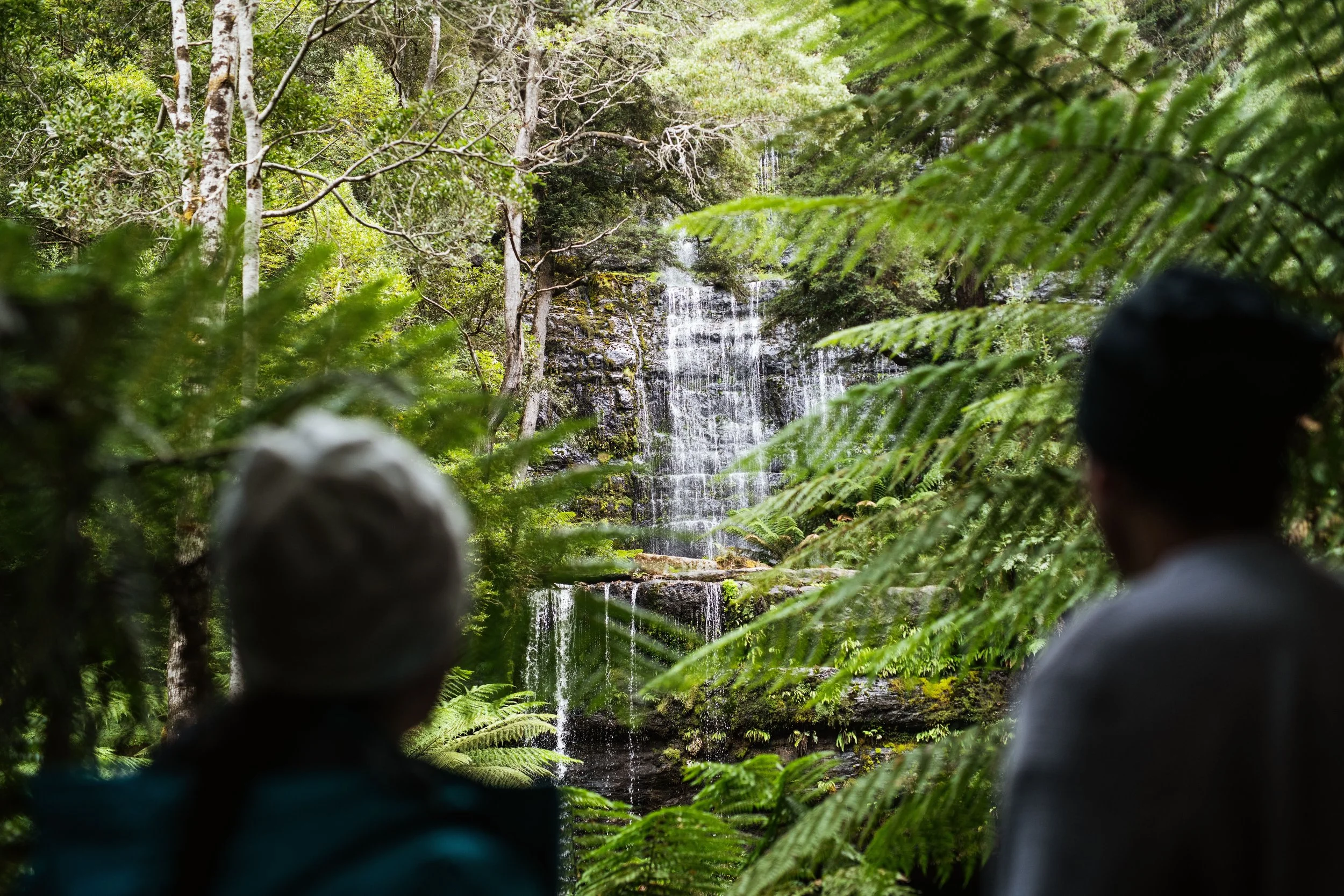 Russell Falls (image: Stu Gibson) (Copy)