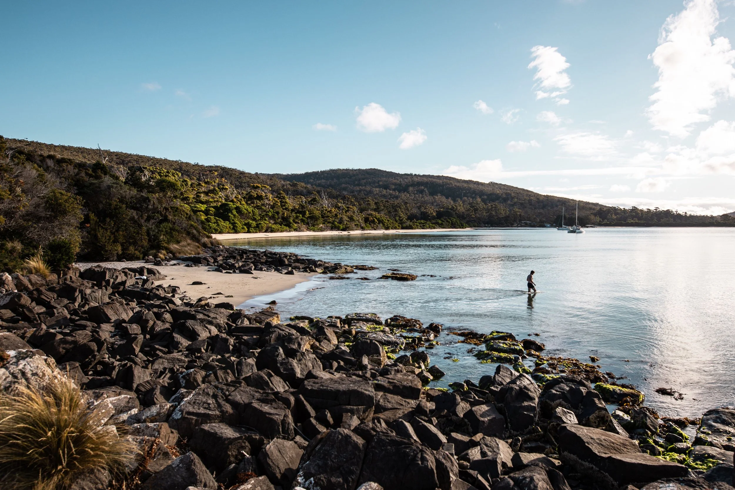 Cockle Creek (image: Liam Neal) (Copy)