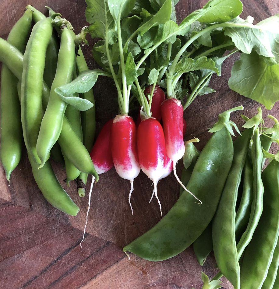 Radish (image: Felds Farm) (Copy)