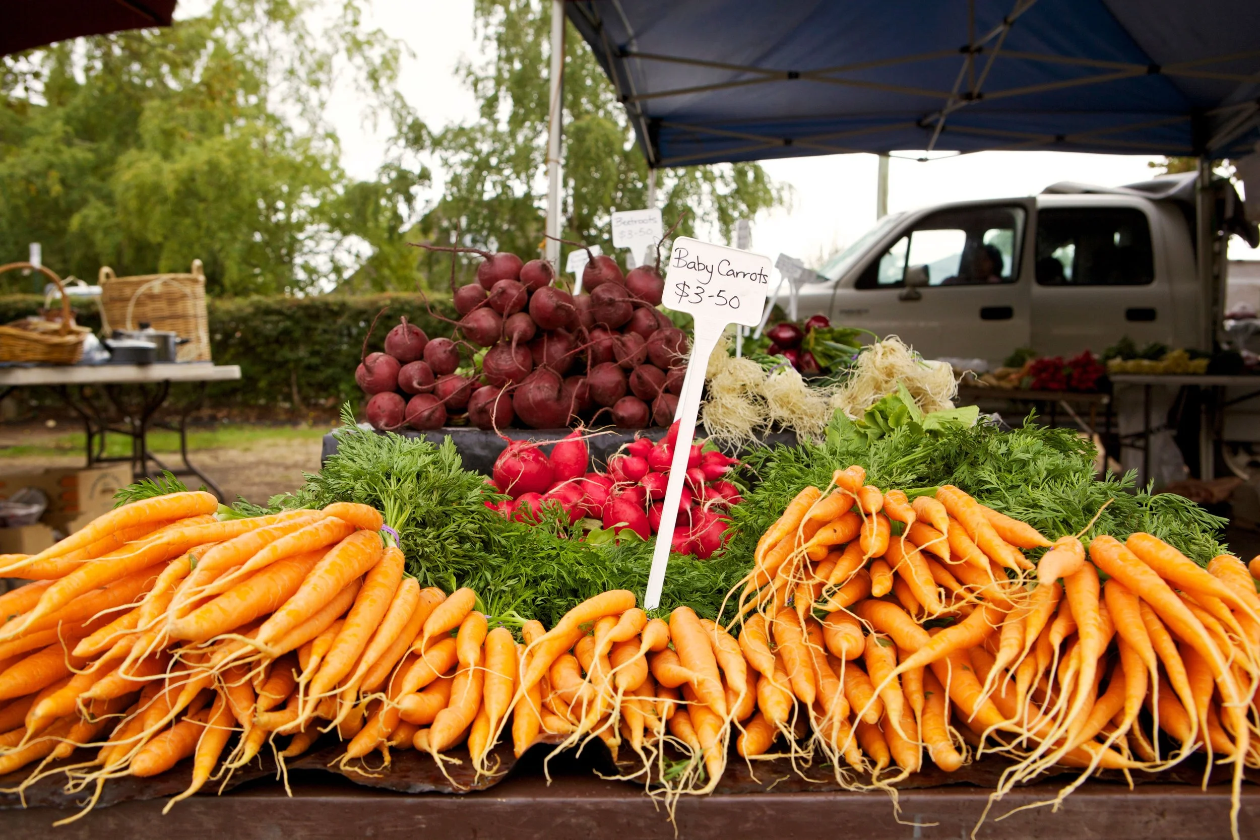 Evandale Market (image: Tourism Tasmania &amp; Adrian Cook) (Copy)