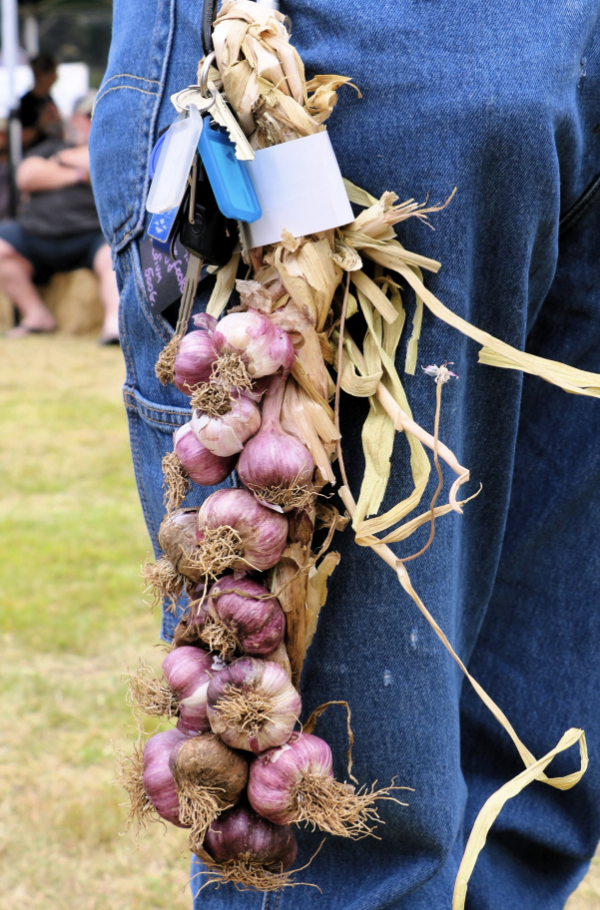 Koonya Garlic Festival (image: A. Checkers Photography) (Copy)