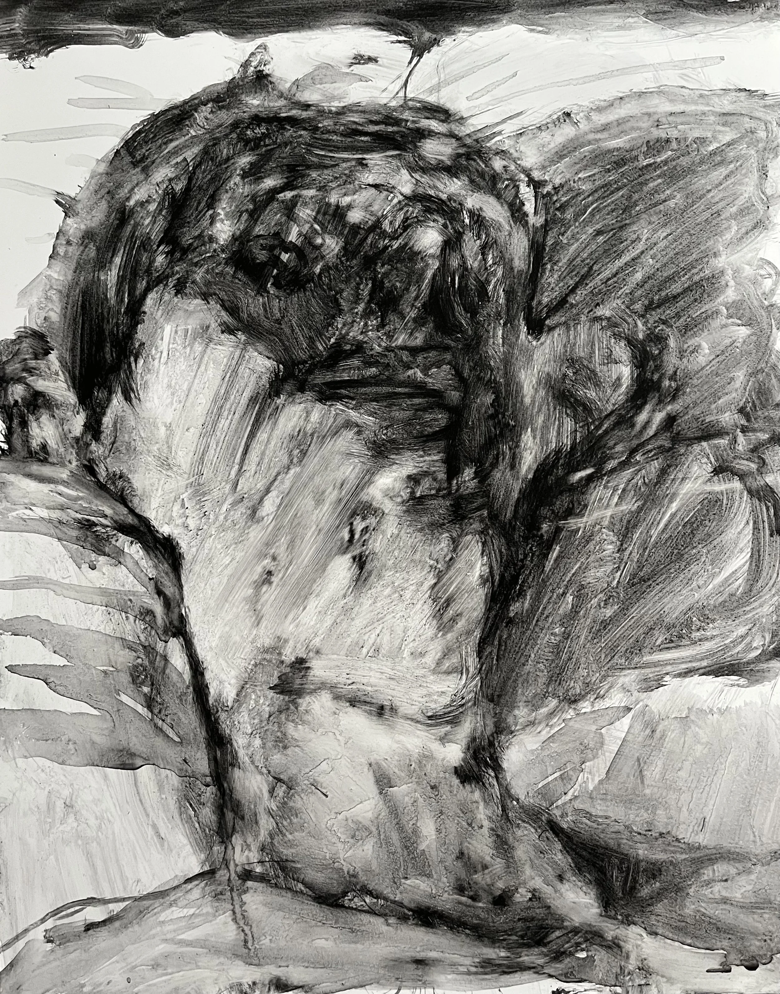 head ~ liquid charcoal on synthetic paper ~ 14" x 11" ~ 2025