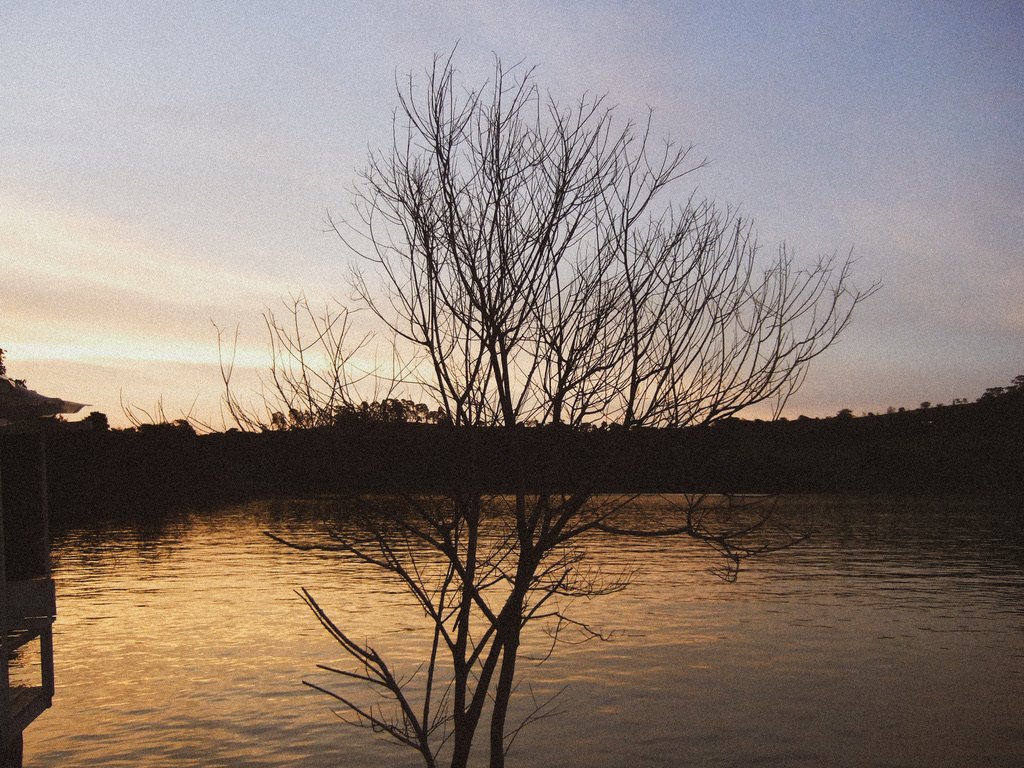 8E0BBB47-581E-4063-9199-37401DAE9125_1_105_c.jpeg