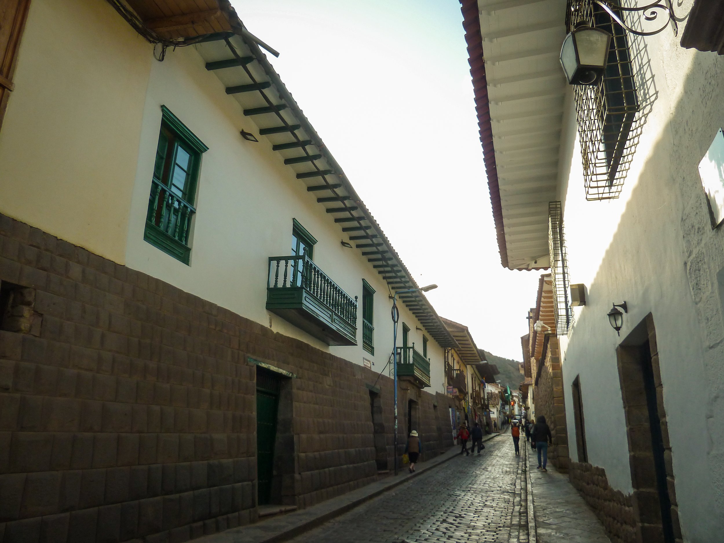 P1050420.jpg