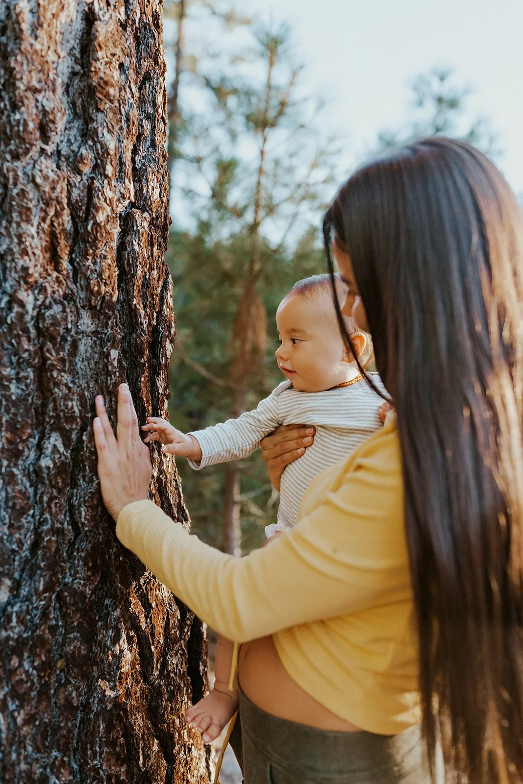 A woman holding a baby, both touching the bark of a large tree in a forest, during sunset.