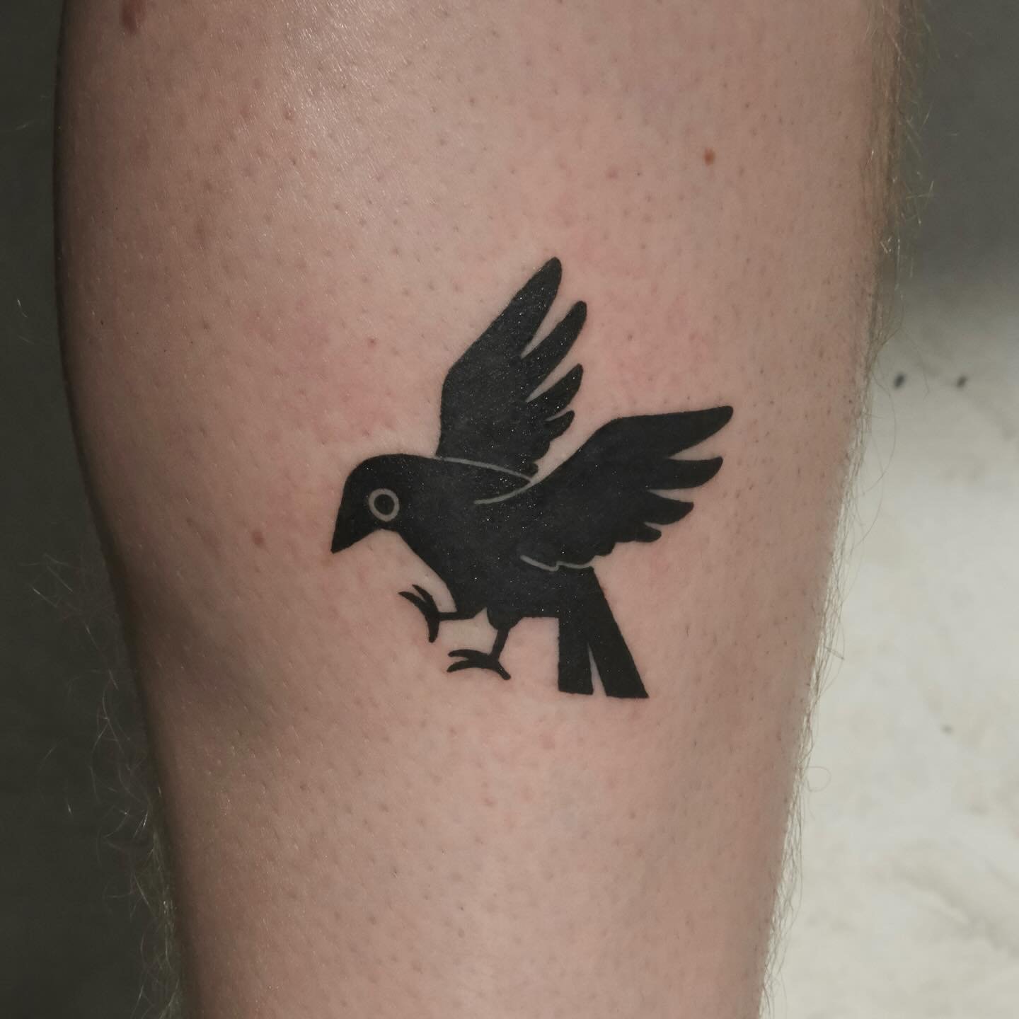 black crow from my flash for tom 🐦&zwj;⬛ thanks for coming from canberra for it 🫶🫶 books open!

ᯓ★

licence no: 108952
done at @soletattoogallery