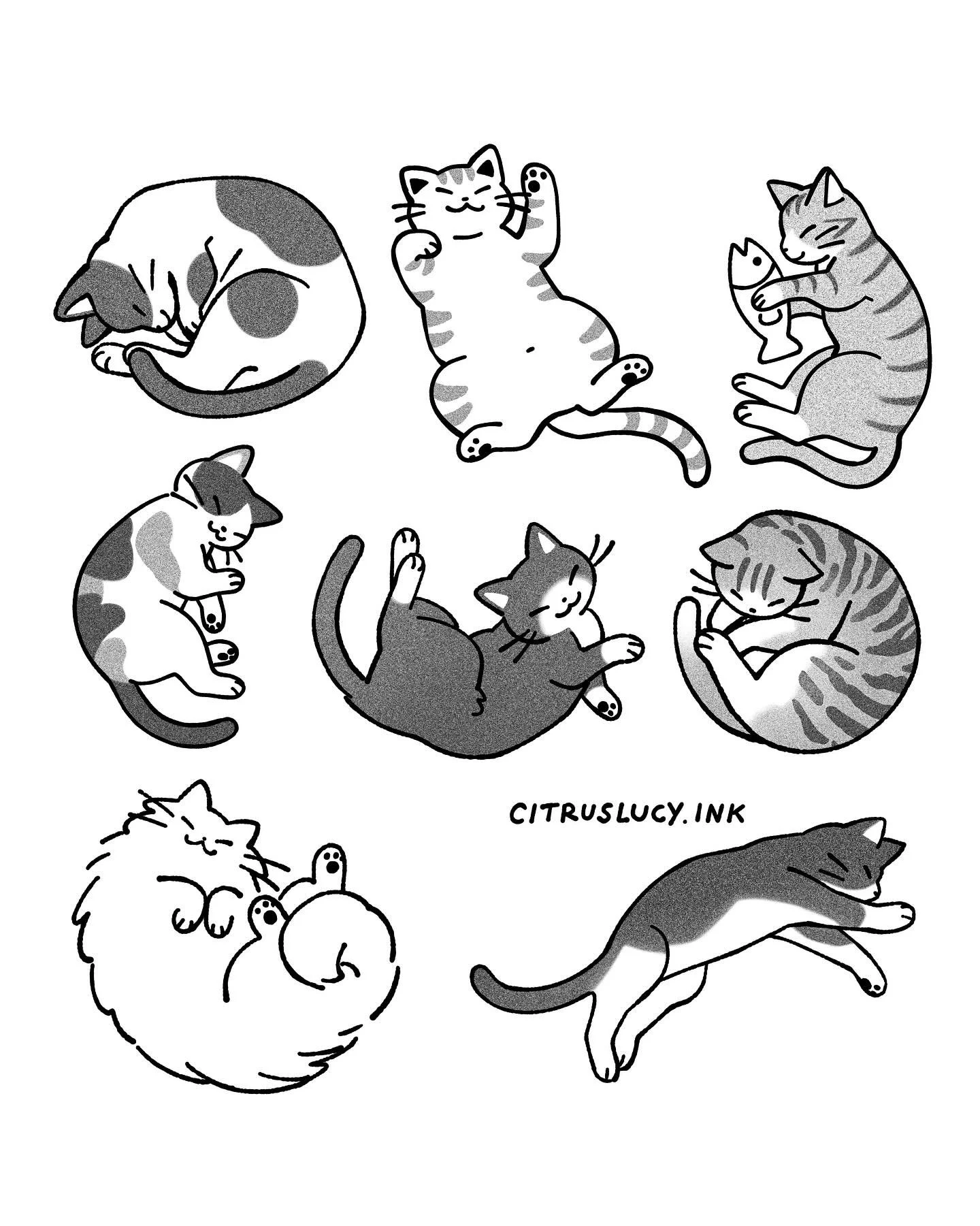 cat nap flash! 🐈&zwj;⬛💤🐈 can be customised to resemble your kitty 🫶

also did you know you can get these sleeping kitties on a t-shirt?! they're so soft and perfect as pyjamas! available in my online store mush.house/citruslucy or at @soletattoog