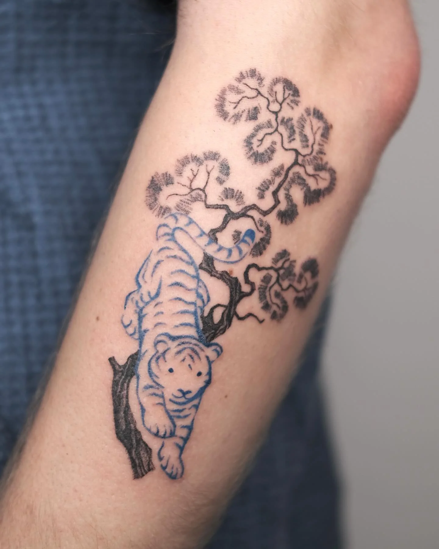 custom tiger with blue ink for wren 🐅🎋🌀 

thank you so much! this was so fun to design and tattoo 😚🫶 would love to do more like this!

books open for my melbourne guest spot in november! i still have time on the 4th and the 5th ☺️ books also ope