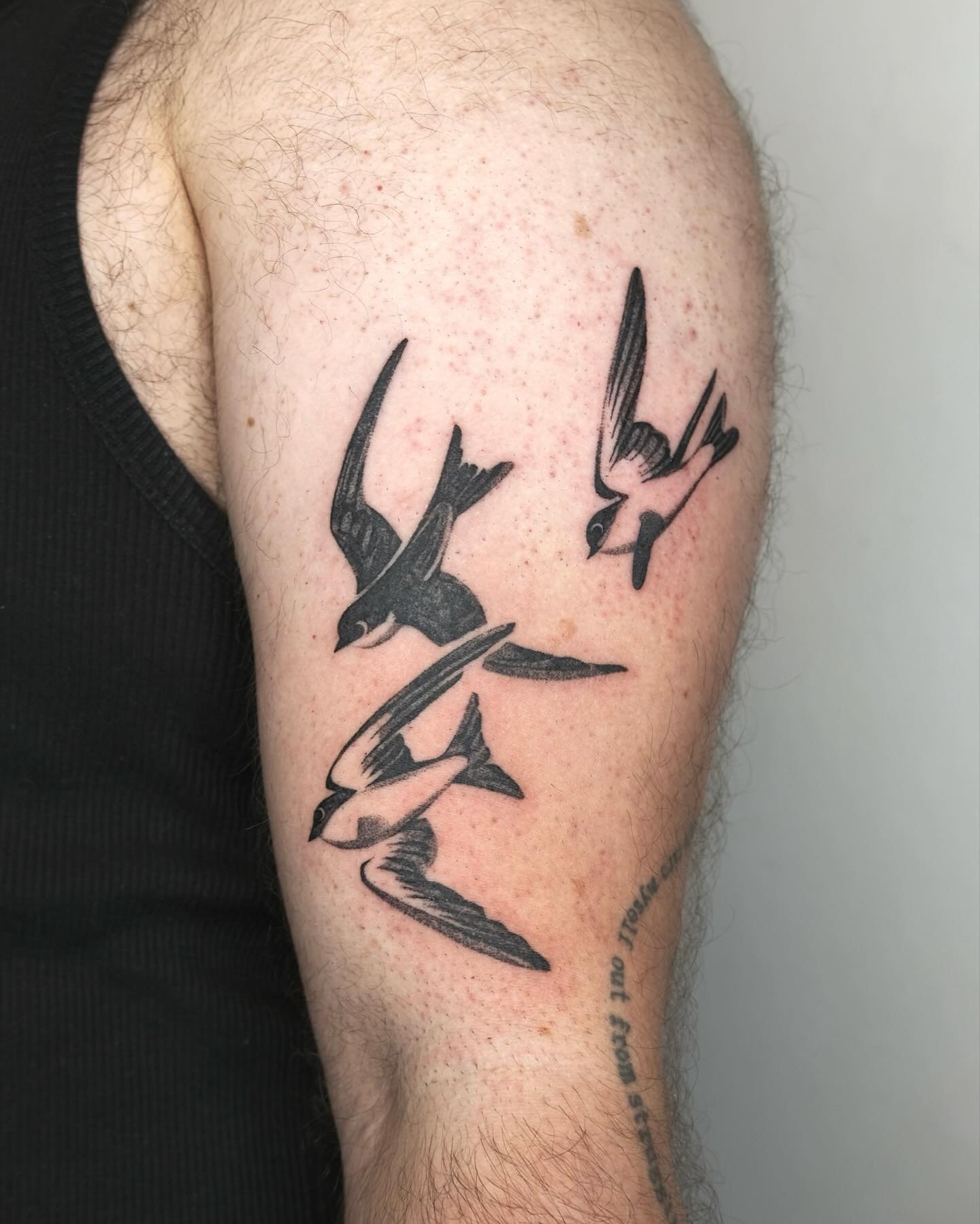 birds in flight 🪶🕊️ from my flash for jonathan

sydney books open for nov + dec + jan 🪶

ᯓ★

licence no: 108952
done at @hyperhumanttt 

#sydneytattoo #sydneytattooartist #birdtattoo #illustrativetattoo