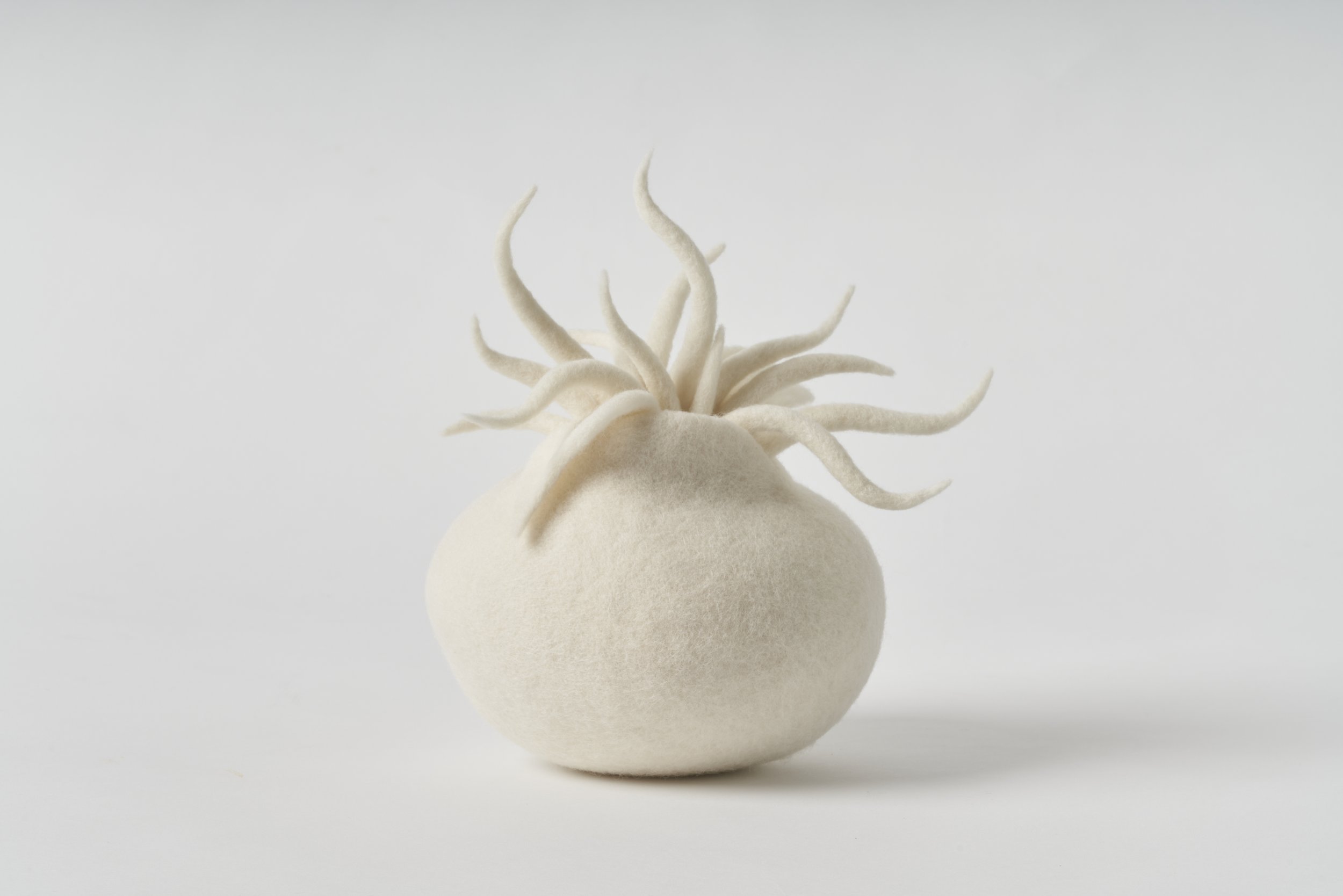 'Flourish', 2025, wool fibre, felt, thread, 19 x 18 x 27cm. [Private Collection]. Image: Sam Roberts