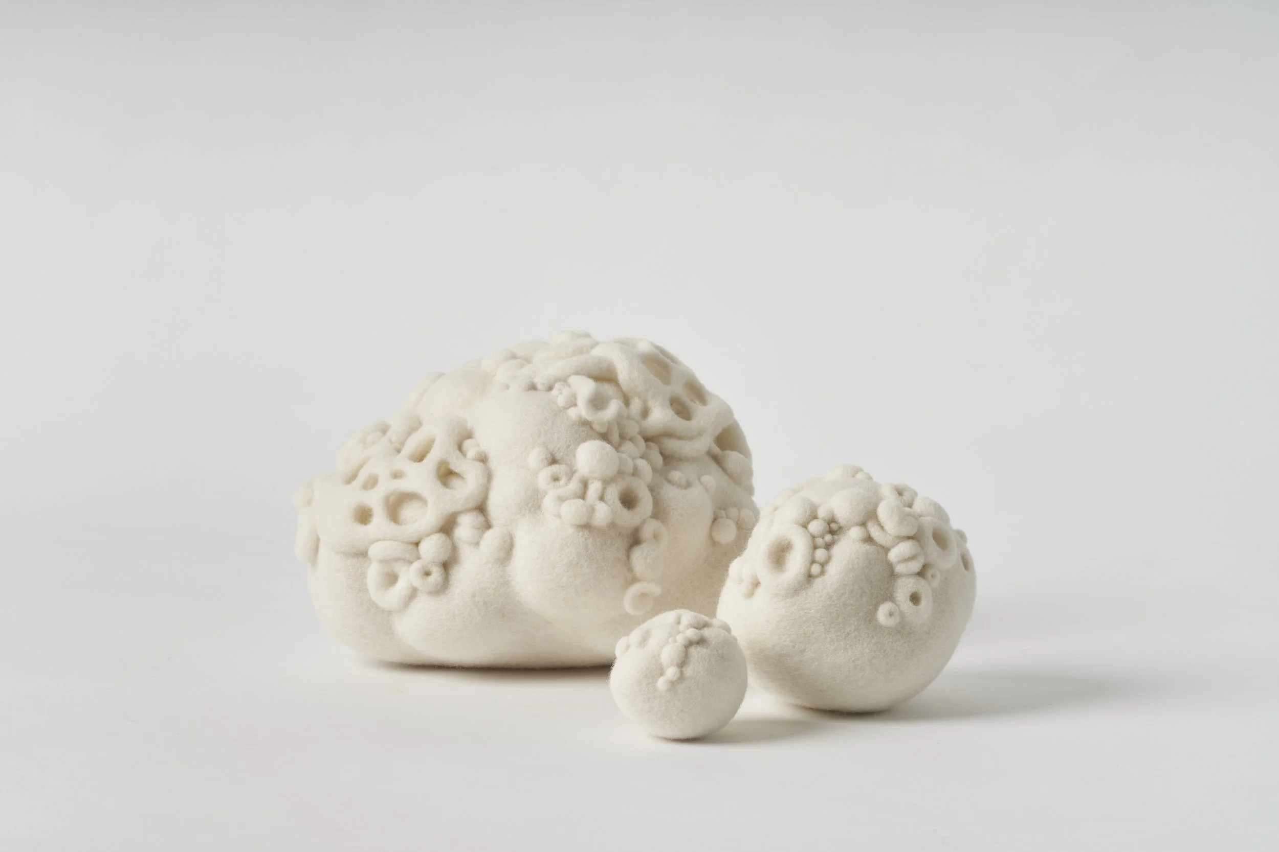 'Kinship 2', 2025, wool fibre, felt, thread, L: 24 x 24 x 17cm, M: 13 x 11 x 11cm, S: 7 x 7 x 6cm Enquire: Hill Smith Art Advisory. Image: Sam Roberts