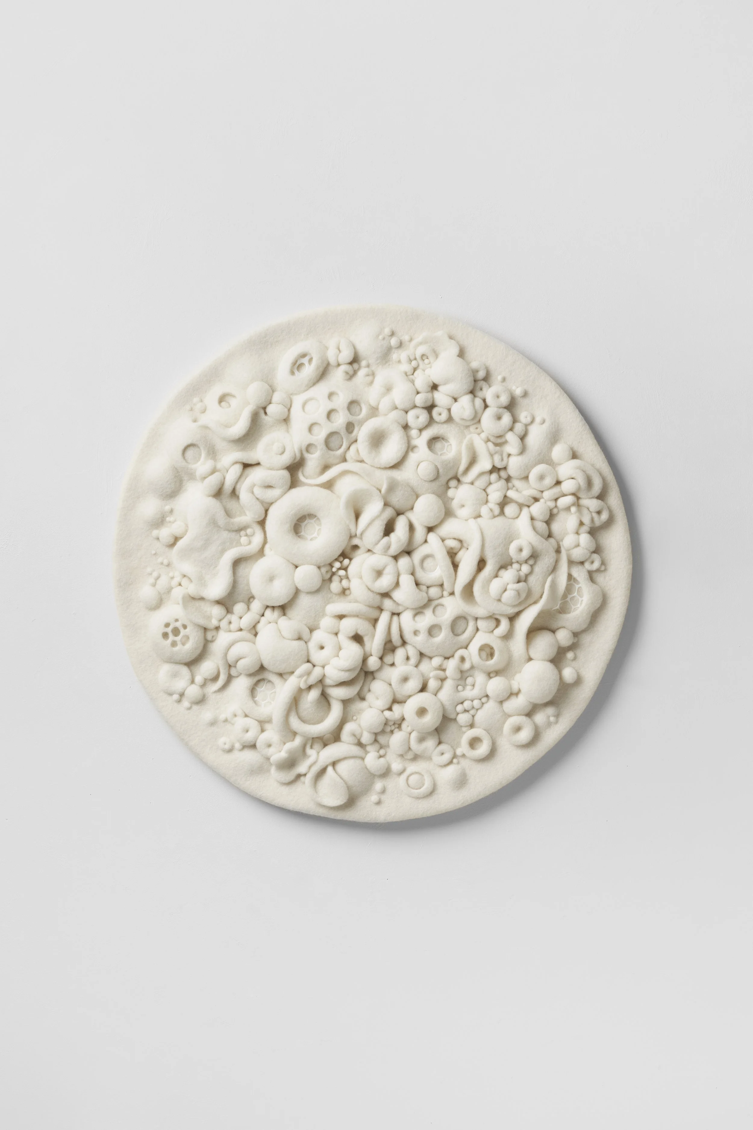 'Bloom', 2025, wool fibre, glass, 65 x 65 x 5cm
Winner Fleurieu Biennale Hugo Shaw Emerging Artist Prize.
Image: Sam Roberts