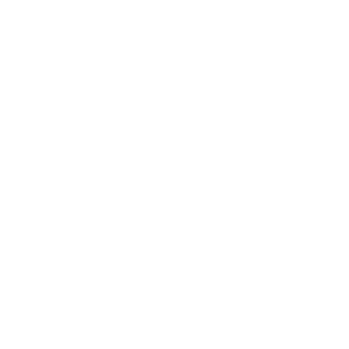 177+ google reviews at Capital Chiropractic