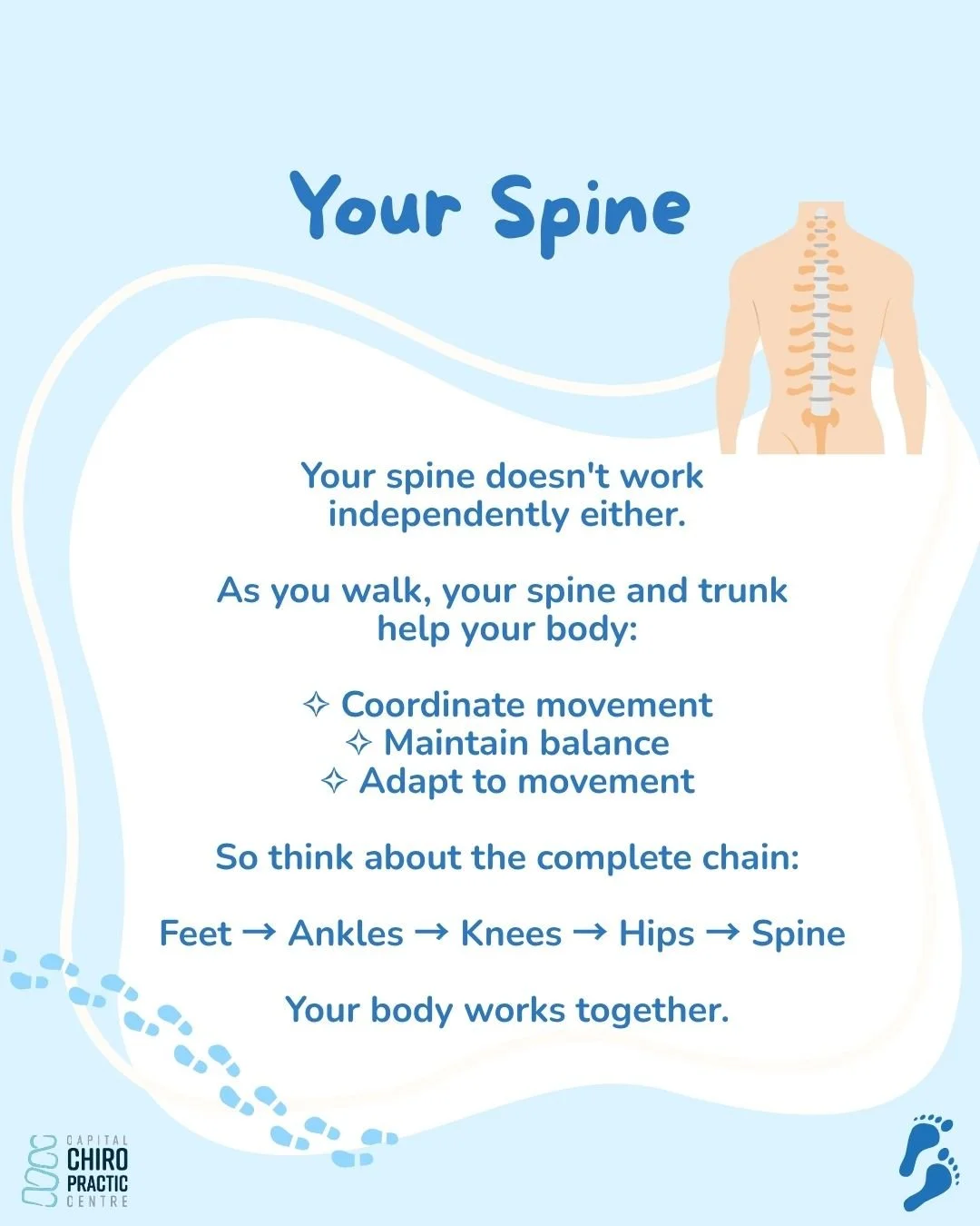 Spinal Movement and Brain Health | Keep Your Spine Moving