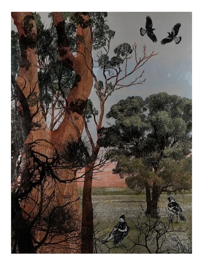 The intricate, layered works of Dianne Fogwells, floating artworks are completely mesmerizing.  Using a combination of Lino and woodblock prints Dianne captures the layered landscape and mischievous bird life beautifully.

Open 11-4pm Friday - Sunday
