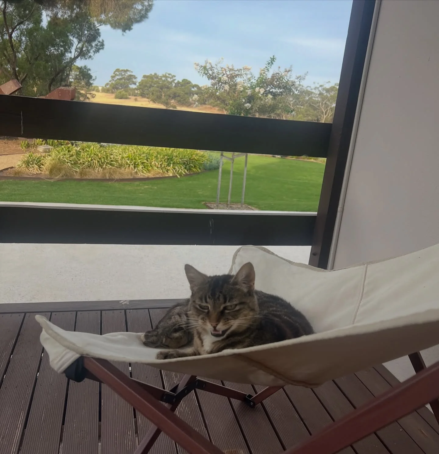 A Tiger&rsquo;s life &hellip;

For those who have not been to the gallery this is Tiger. Tiger came with the property and after 3 years will now come@out and greet most our visitors, he is very noisy and has a strict welcoming routine.

And this is w