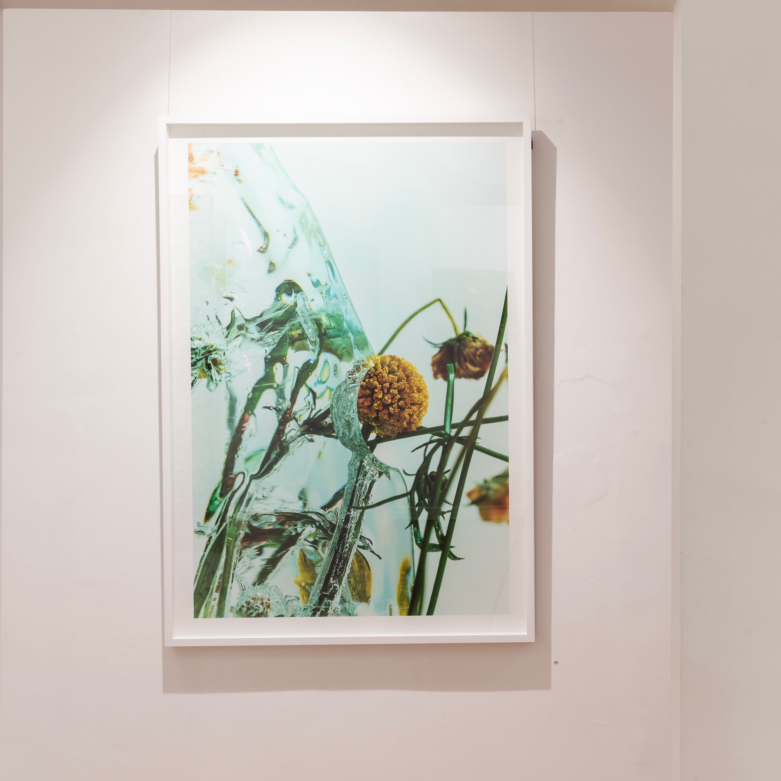 Have you had an opportunity to view Alexandra Drewniack&rsquo;s reel about this new body of work?  We feel extremely privileged to be showing them as part of The Freedom of Reinvention. 

@alexandra_drewniak 

Open 11-4pm Friday - Saturday or DM for 