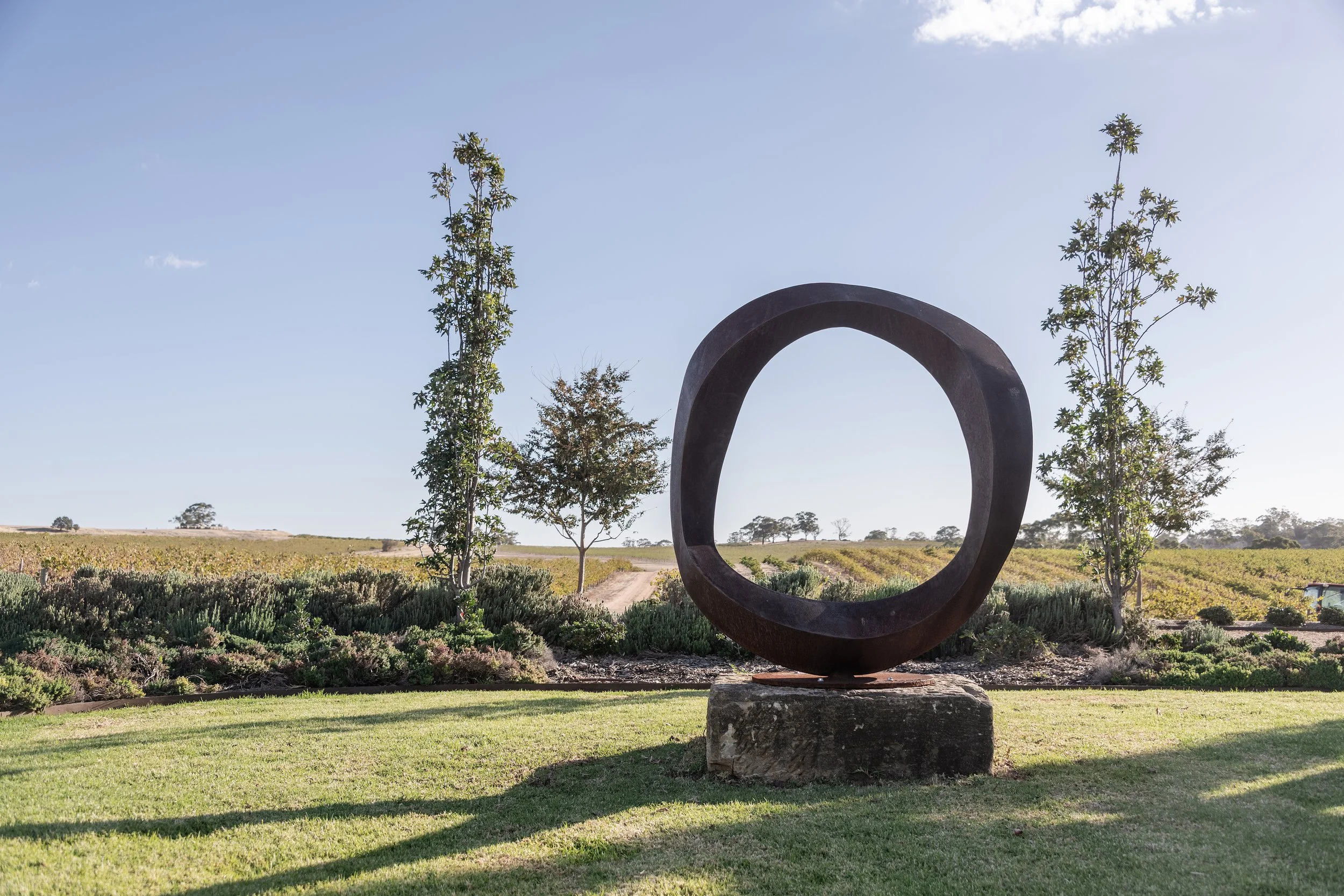 Wavering Circle Sculpture by Greg John with vineyard views