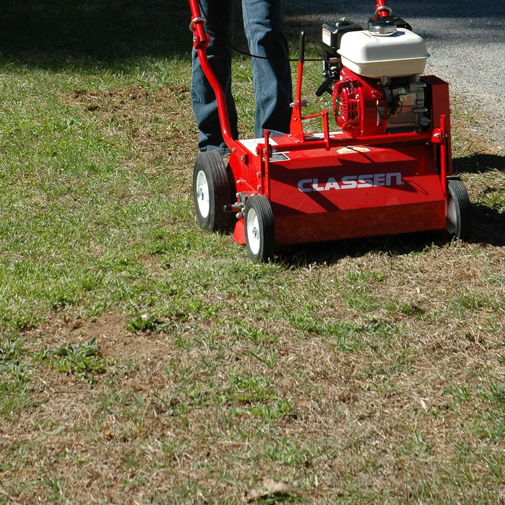 Walk Behind Dethatcher (30 Day Rate)