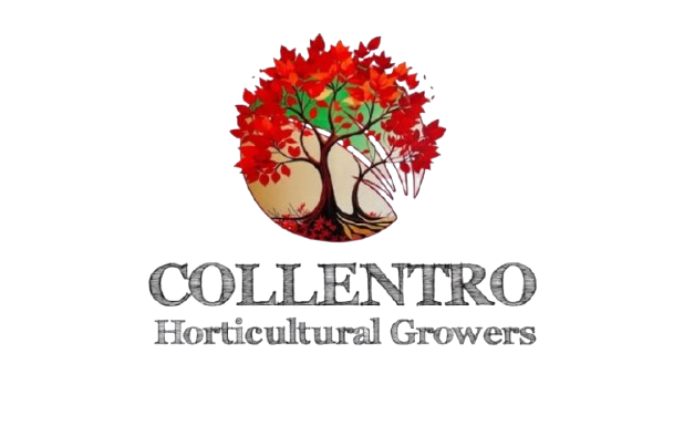 Collentro Growers