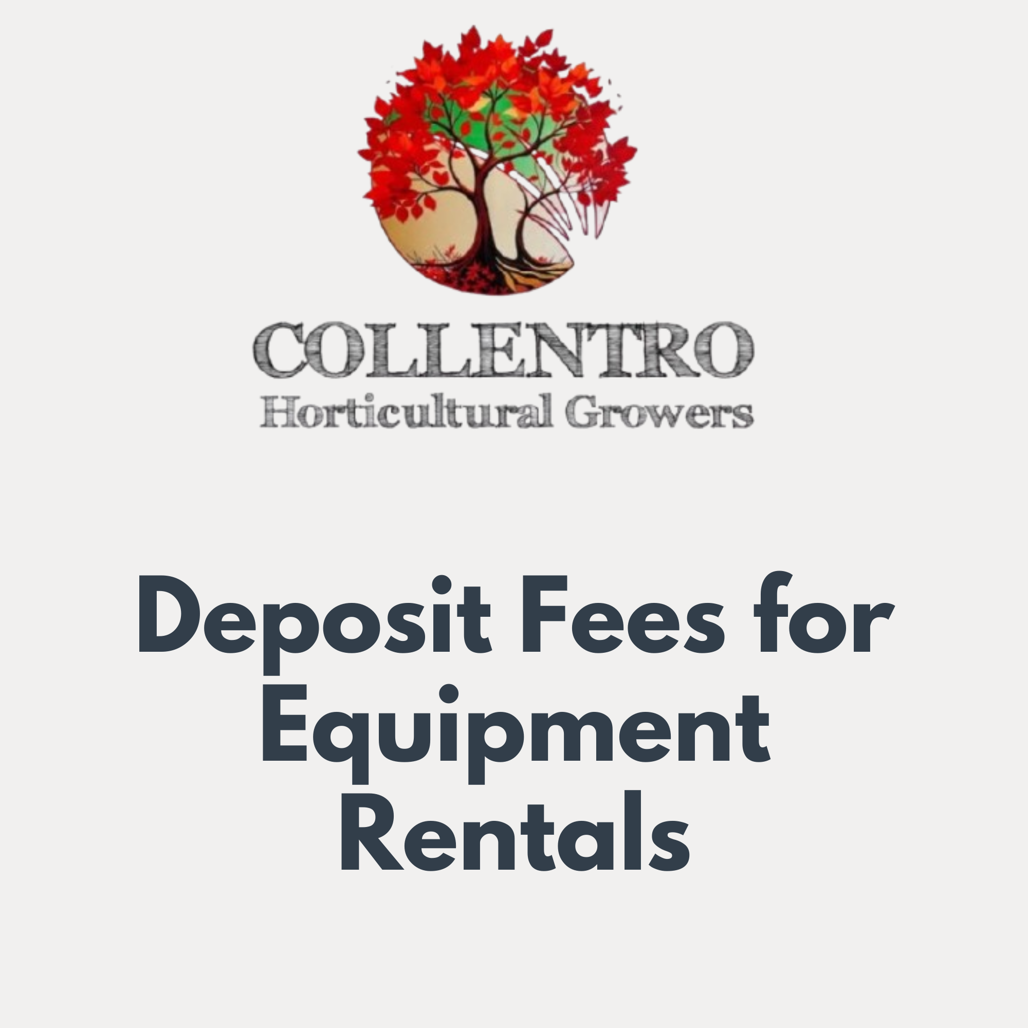 Deposit for Rental $150