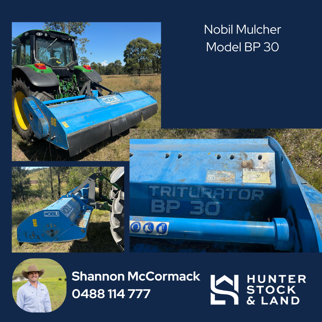 Clearing Sale Bendeich.png