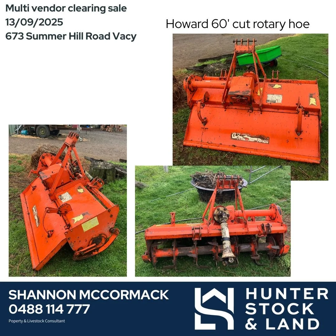 Clearing Sale 2025.jpg