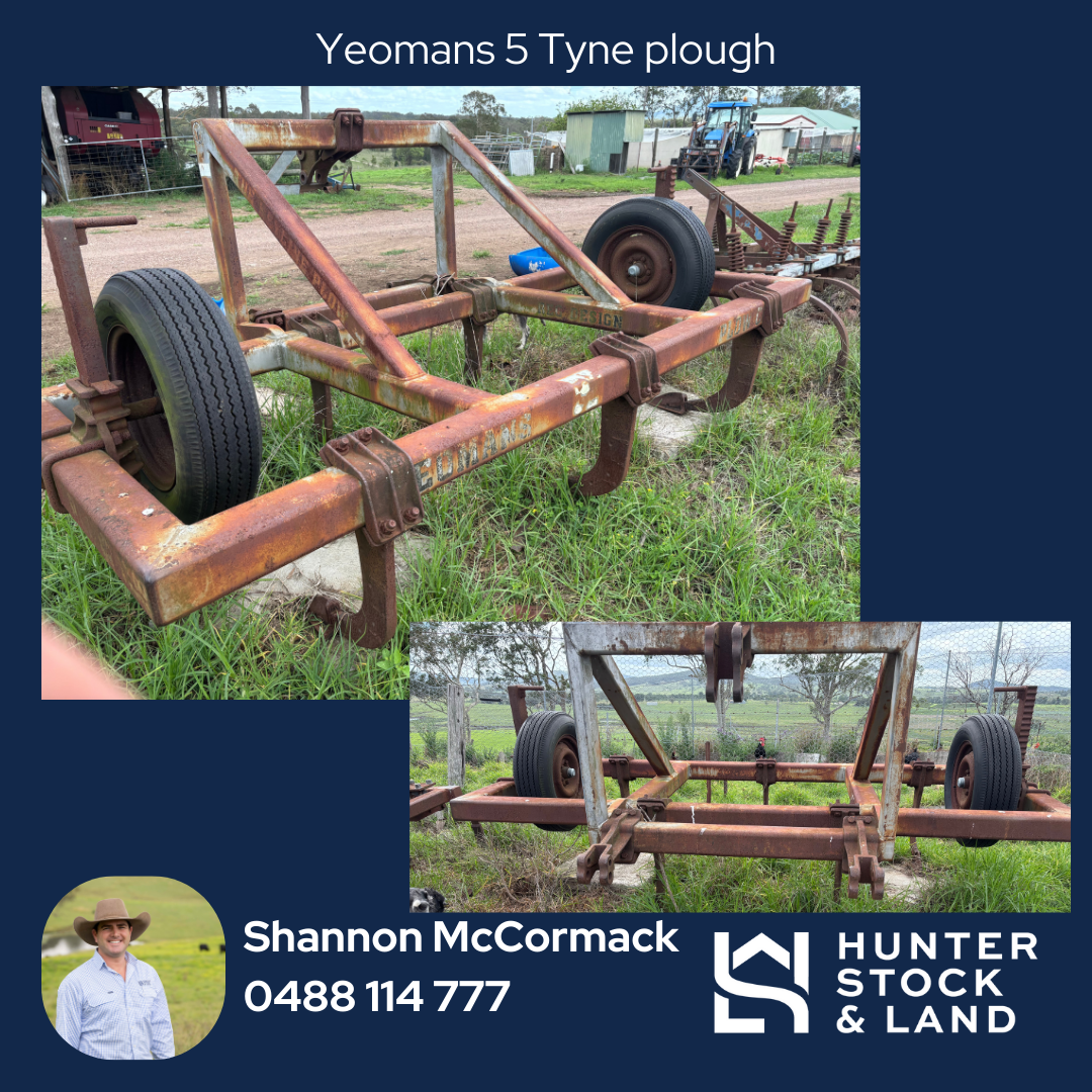 Clearing Sale Bendeich (7).png