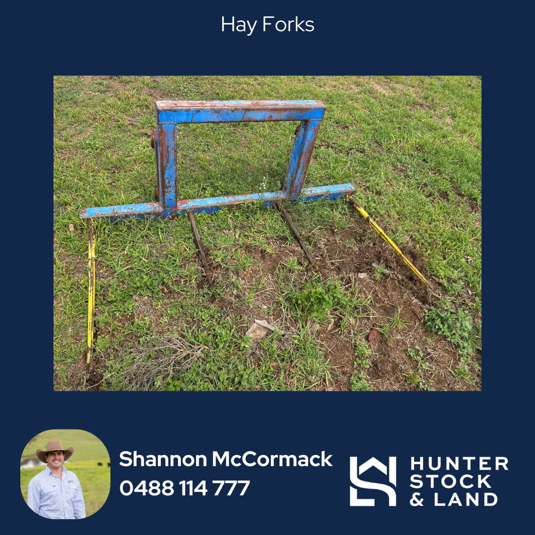 Clearing Sale Bendeich (4).png