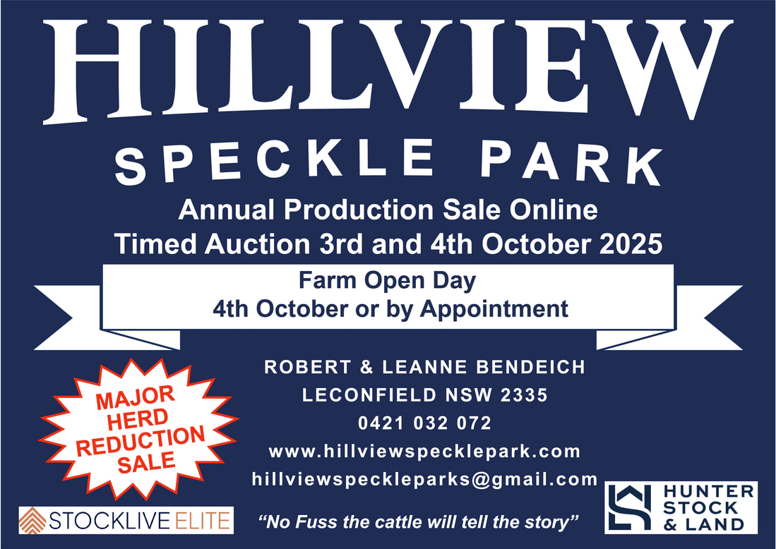 Hillview Speckle Park Sale