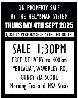 Elite Poll Herefords