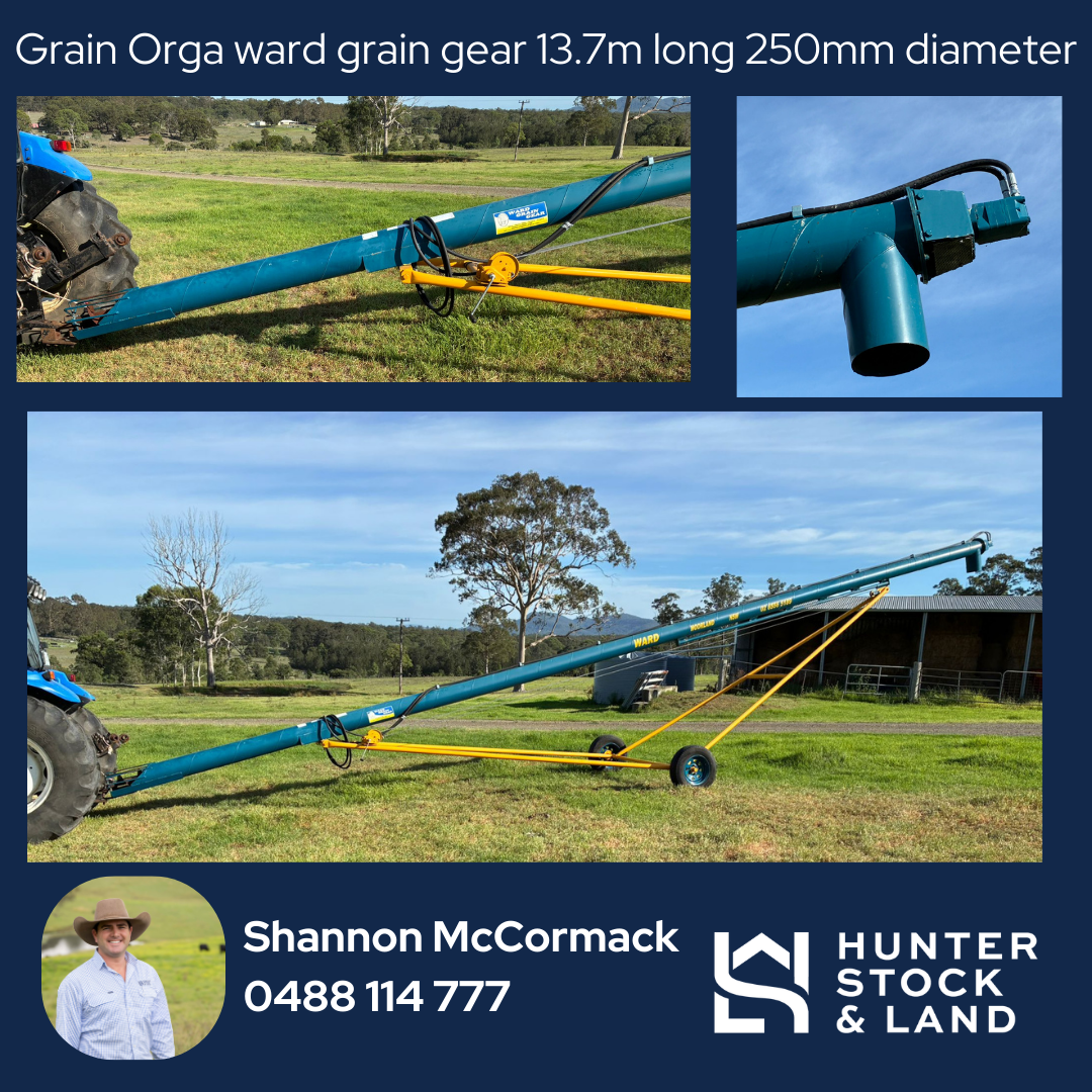 Clearing Sale Bendeich (3).png