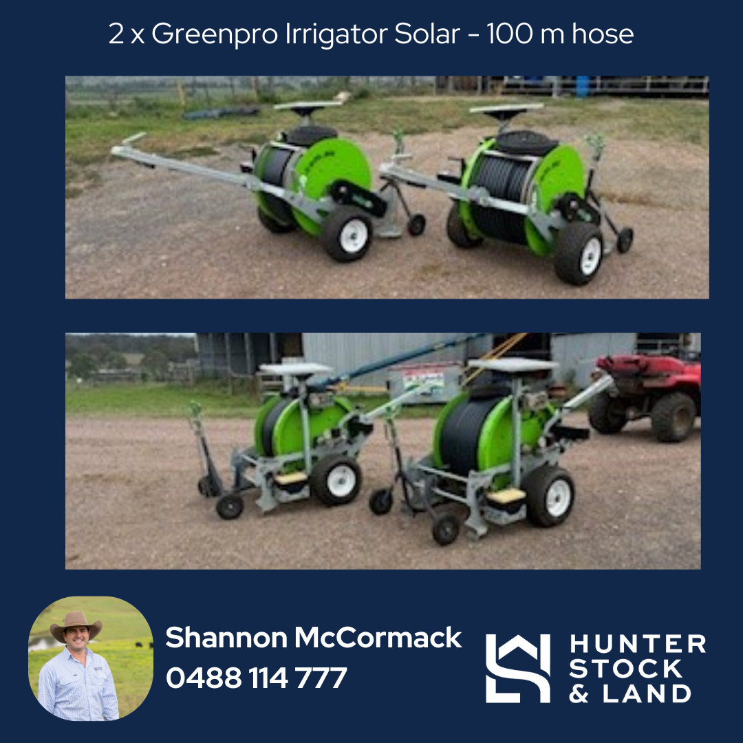 Clearing Sale Bendeich (9).png