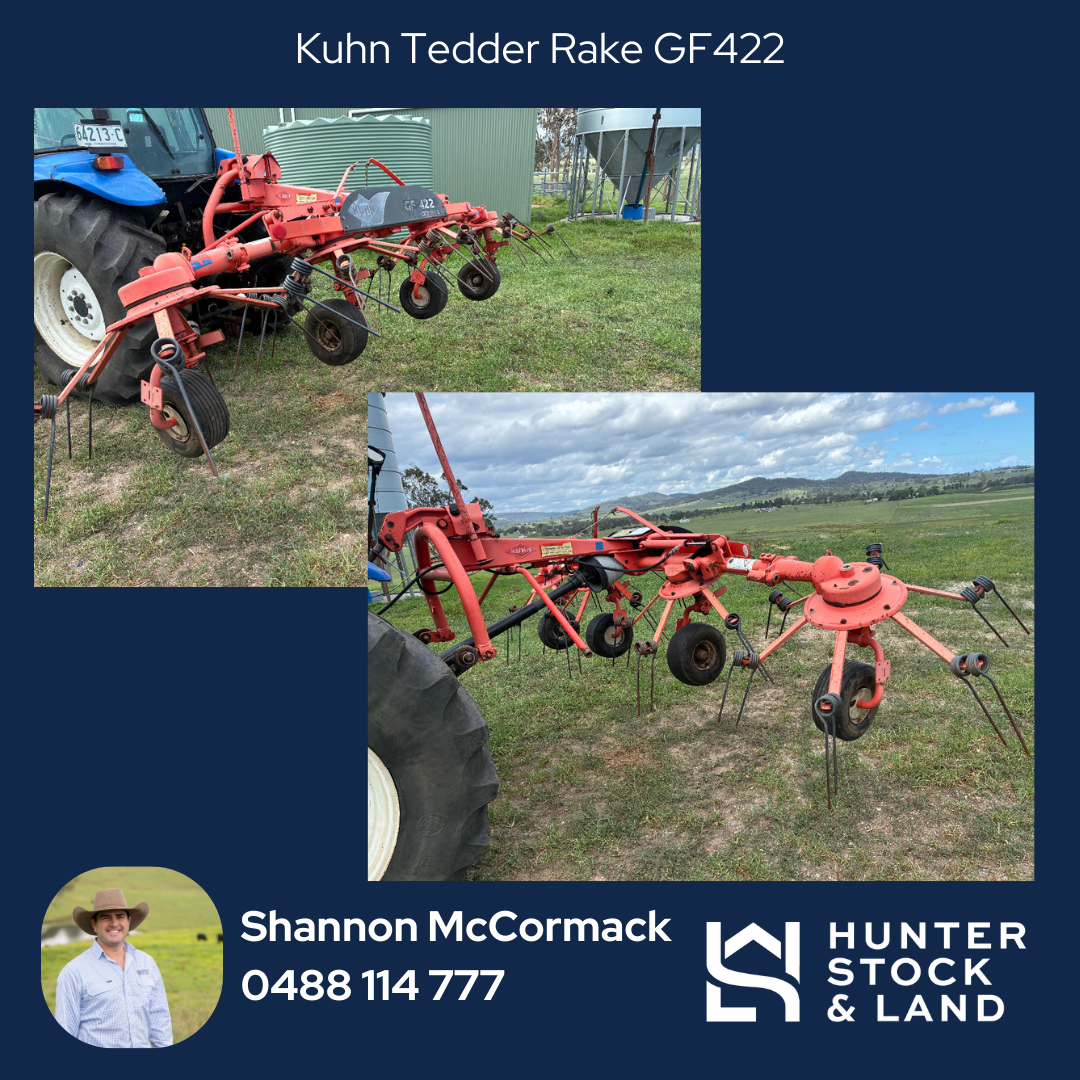 Clearing Sale Bendeich.png