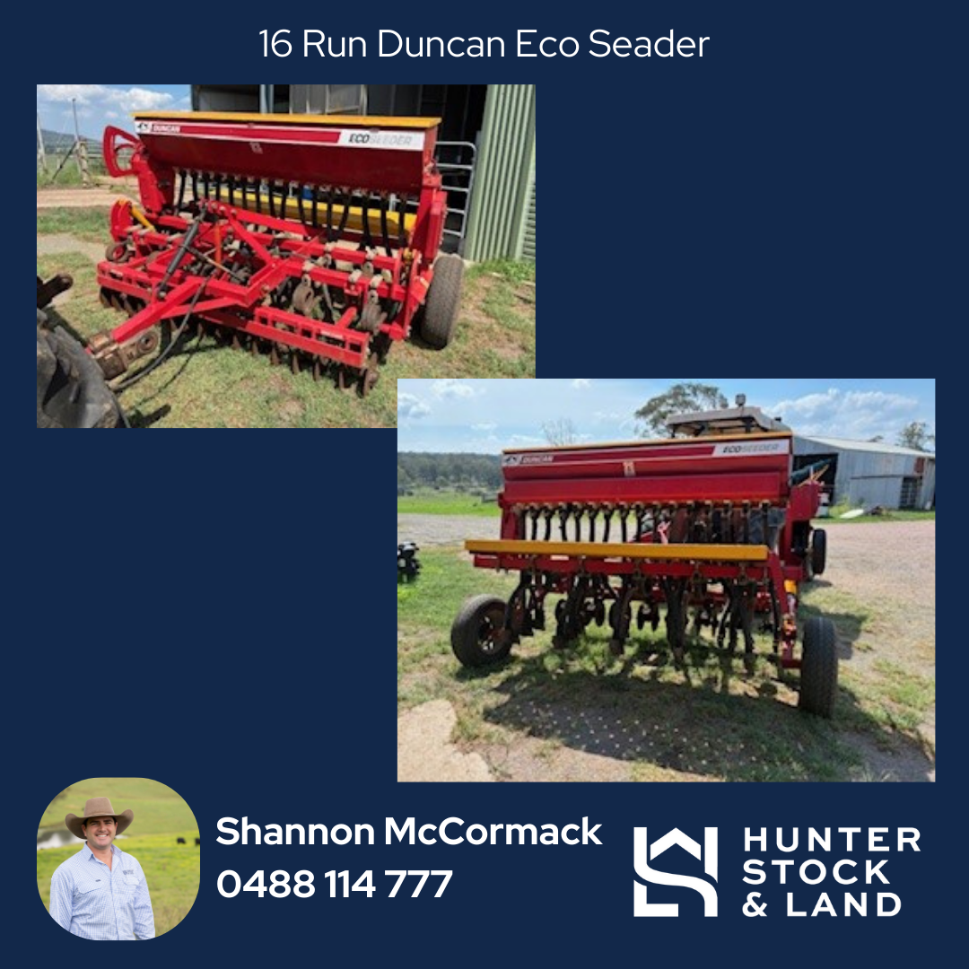 Clearing Sale Bendeich (12).png