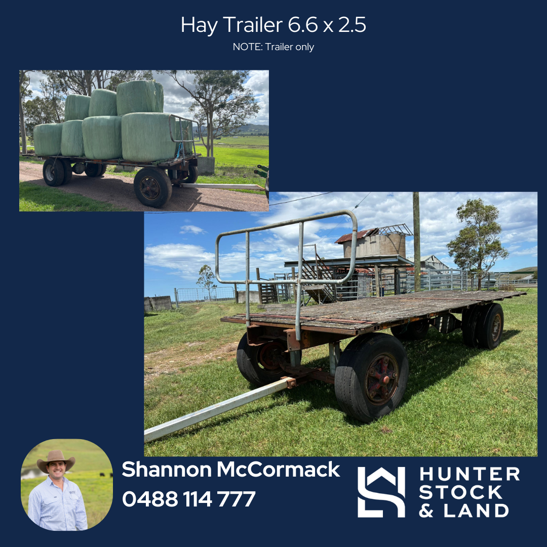 Clearing Sale Bendeich.png