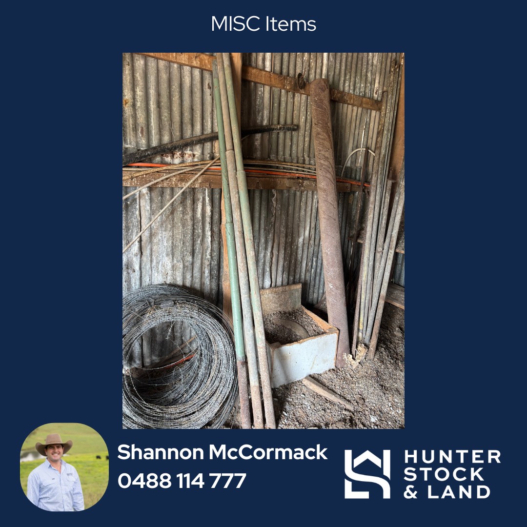 Clearing Sale Bendeich (2).png