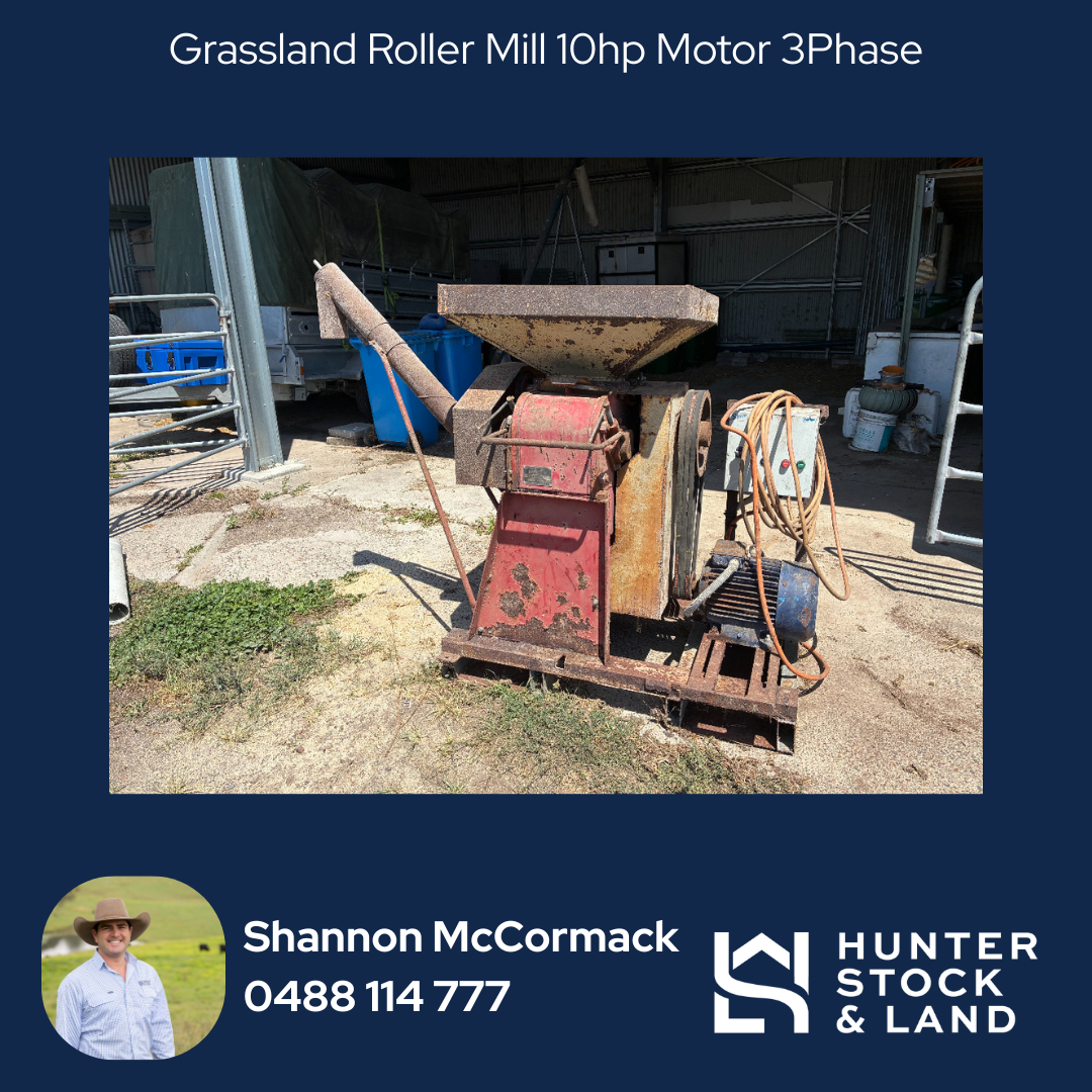 Clearing Sale Bendeich.png