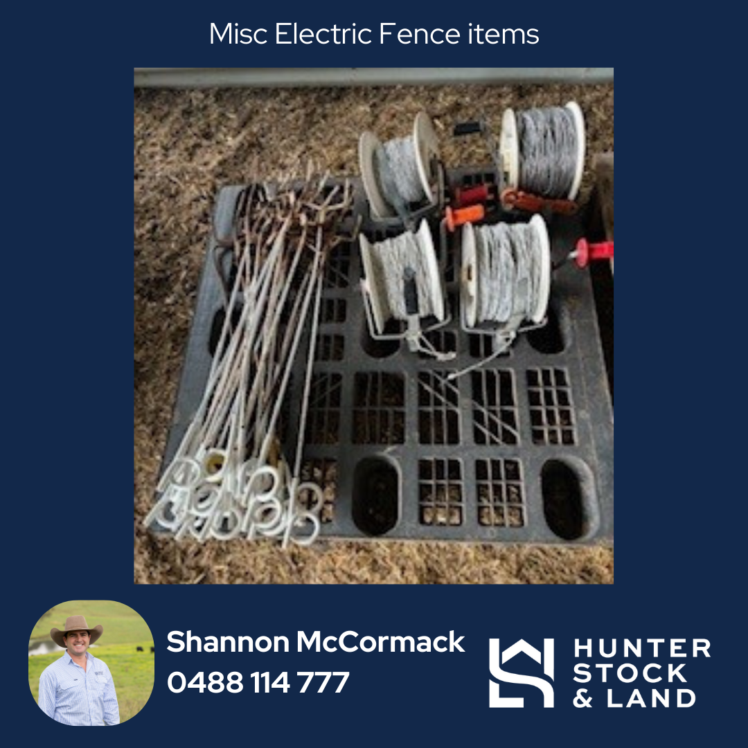 Clearing Sale Bendeich (8).png